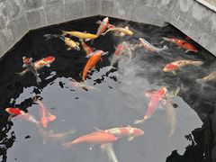 -西安市广仁寺