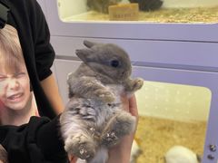 -乌江鱼杭帮菜(西湖店)