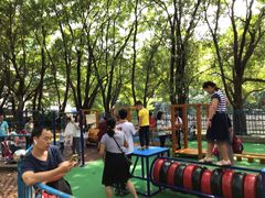 -晓港公园