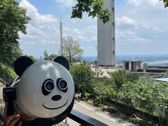 -茶颜悦色(岳麓山顶店)