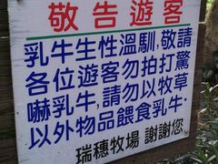 -瑞穗牧场