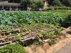 -韶山毛泽东同志故居