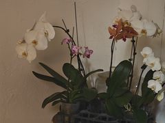 -雕刻时光咖啡馆(北师大店)