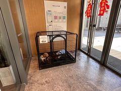 -阿那亚第三食堂 Cafeteria 3