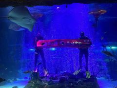 -沈阳海洋探索中心