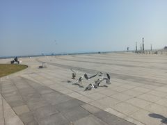 -东港音乐喷泉广场