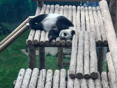 -大连森林动物园