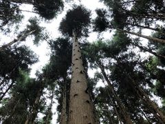 -山王坪喀斯特国家生态公园