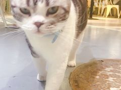 -小时光咖啡馆(开森度假森林店)