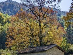 -塔川景区