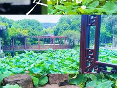 -常熟方塔园