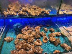 -SEA西雅图海鲜自助餐厅(海乐世界店)
