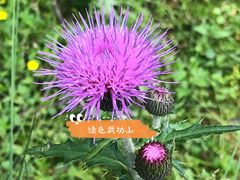 -萍乡武功山风景名胜区