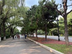 -北陵公园