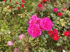 -镇坪县曙坪小学