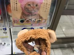 -秋叶原电器街