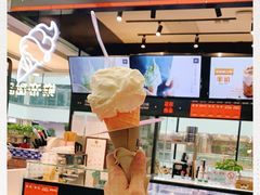 -野人先生现做冰淇淋(西安赛格店)