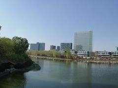 -大兴滨河森林公园