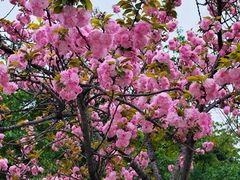 -重庆中央公园(渝北区)