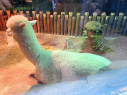 -宝燕乐园(闵行旗舰店)