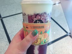 黑提酪酪-LELECHA乐乐茶(美罗城店)