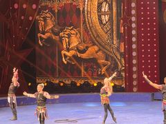 -珠海横琴长隆《卡卡虎奇遇记》