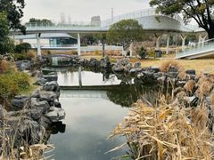 -昆山城市公园