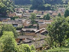 -杨家堂村