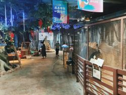 -酷嗒动物文化乐园(cutezoo西溪乐天城店)