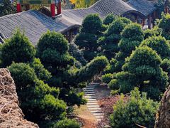 -华雅花园大酒店