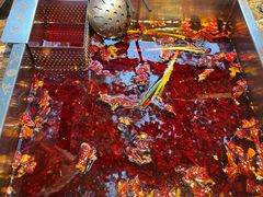 -大妙火锅·非物质文化遗产(东湖公园店)