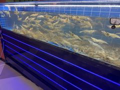 -0048鲜活香辣虾·火锅(铜陵路店)