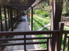 -南宫五洲植物乐园