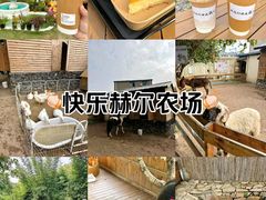 -HERRE·FARM 赫尔露营农场·团建聚会包场