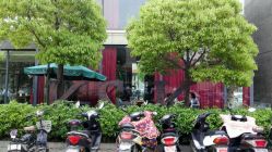 -In Style Hair Salon
