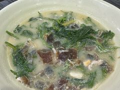 -鸽鸟轩(石岐店)