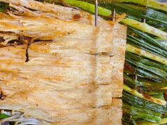 -明明烤牛肉(原明明东北烧烤)