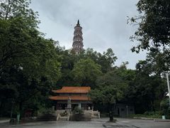 -顺峰山公园