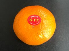 -南京农业大学(浦口校区)