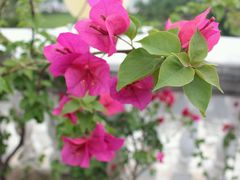 -娜娜度假小旅馆