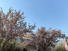 -天津五大道文化旅游区