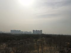 -西安浐灞国家湿地公园