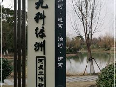 -九科绿洲
