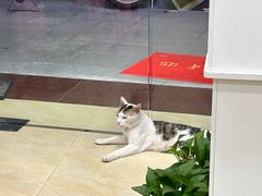 -玉椰林甜品店(创始店)