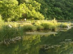 android_upload_pic-白河湾生态旅游一条川