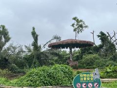 -海南热带野生动植物园