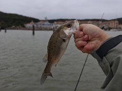 -平湖九龙山旅游度假区
