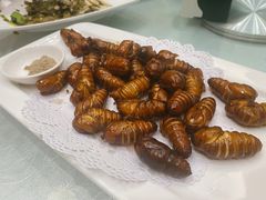 蚕蛹-华盛丰温州大排档(东三环南路店)