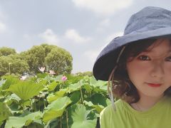 -洪湖生态旅游区