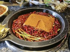-蜀大侠火锅(总府路店)